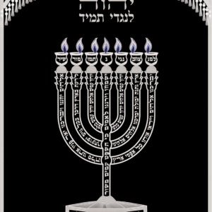 למנצח עם שויתי כחול כסף